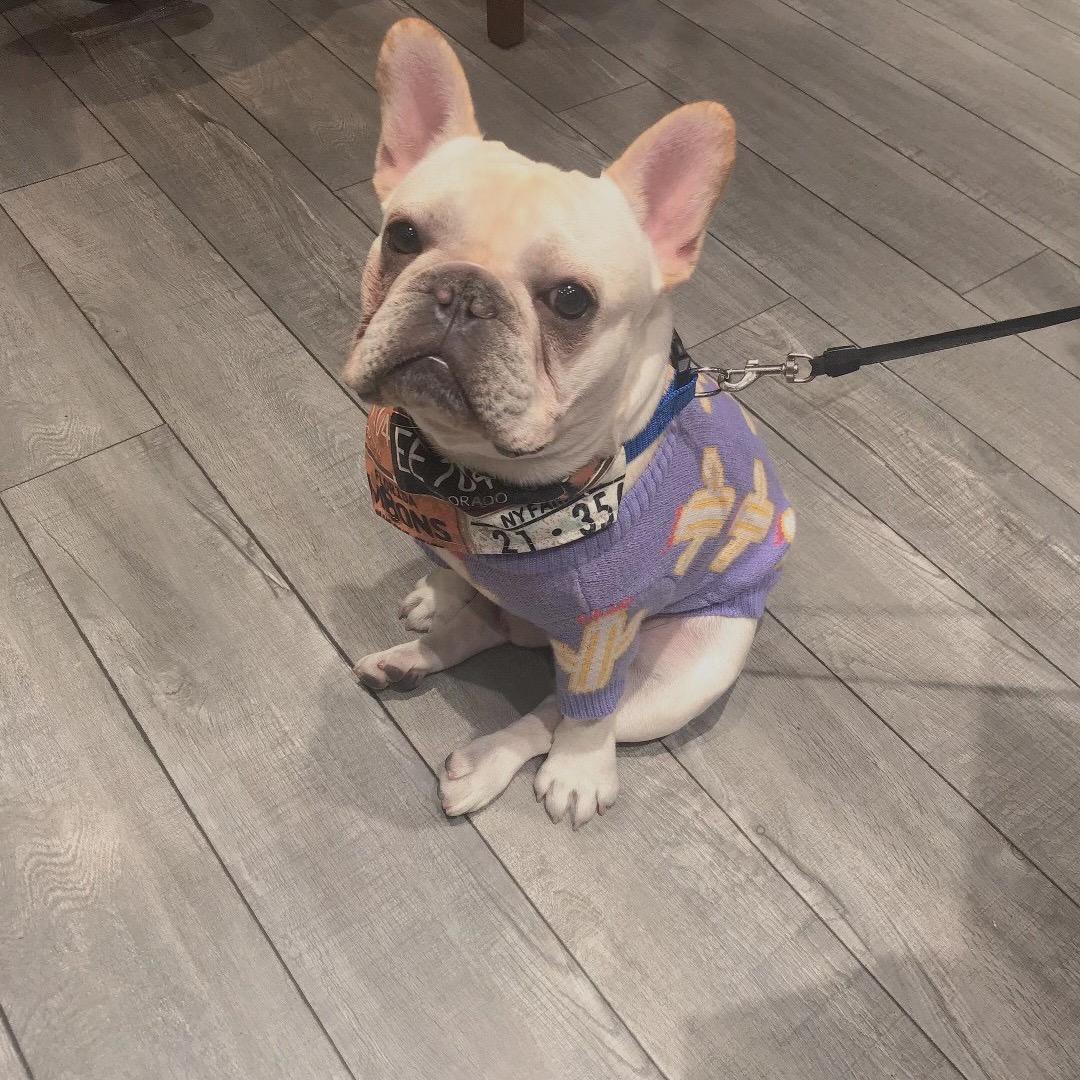 宇宇❤️