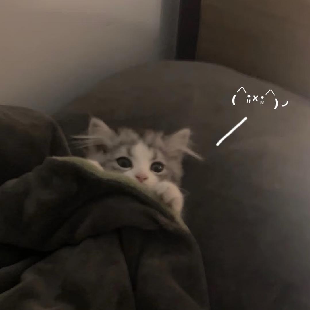 他说他要亲妹宝