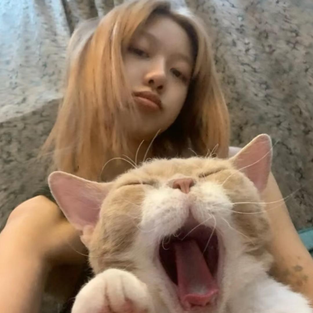 张什么zang/