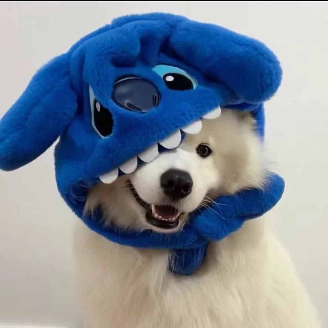 玥🌙