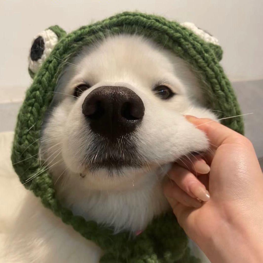 小笵
