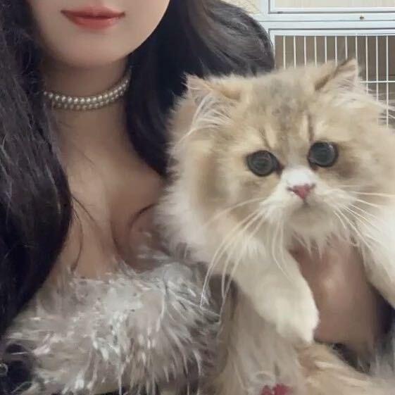 做我们这行的最忌讳的就是爱上客户的宝宝