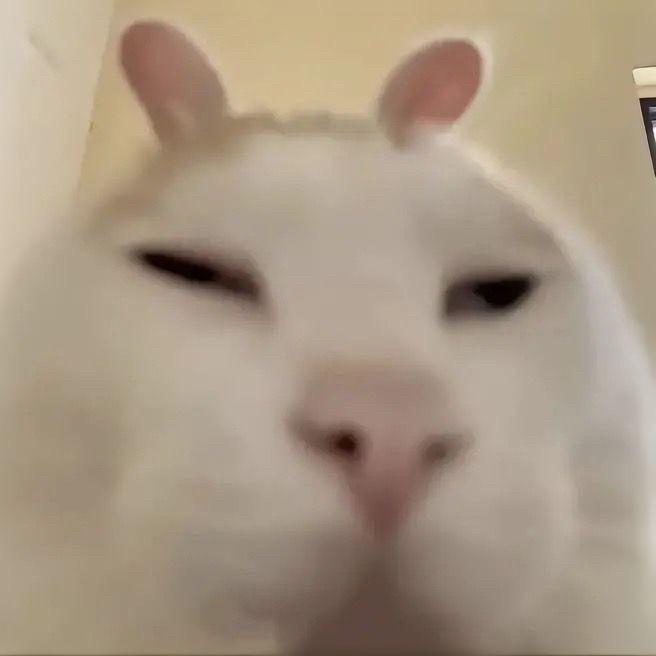 秋豆刀鱼