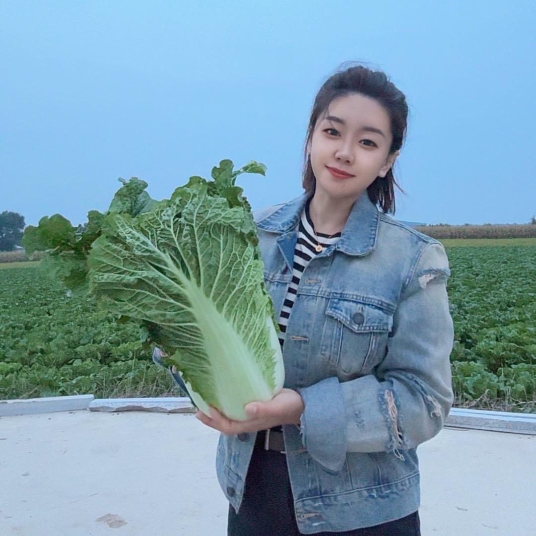凌海瑞祥家庭农场晓贺（凌海白菜上市中）