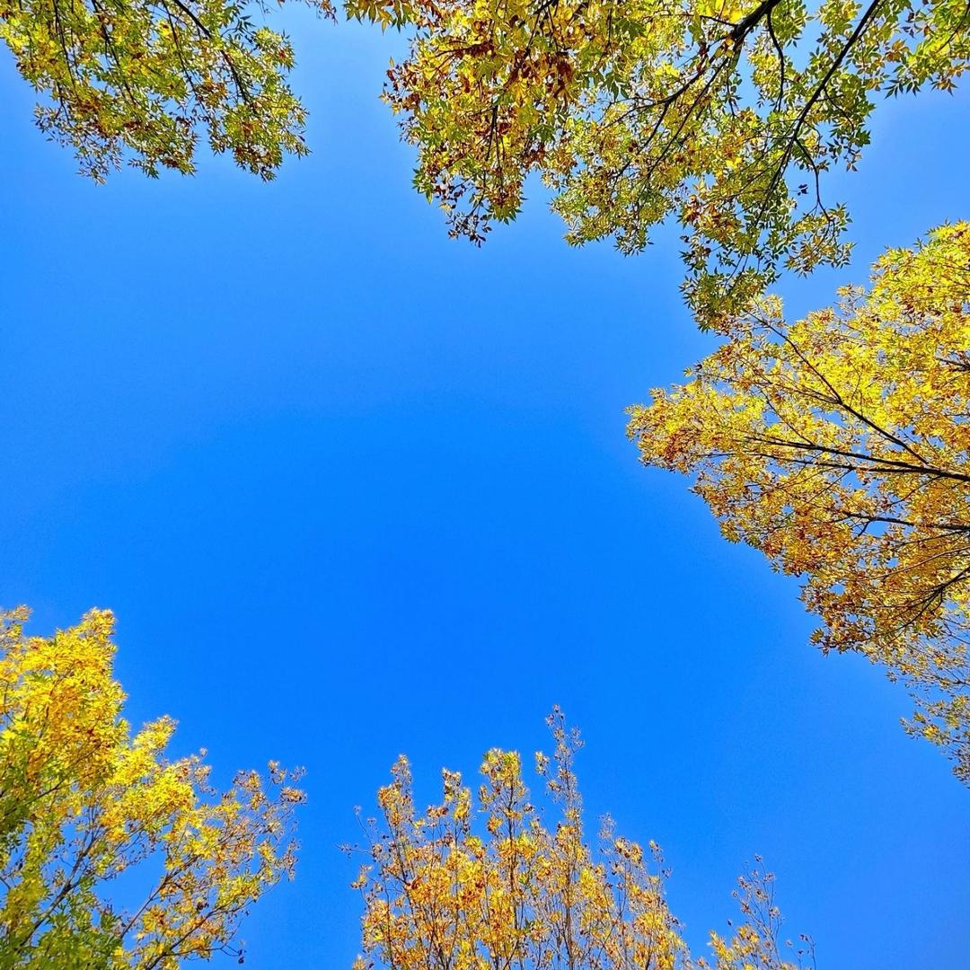 老琴YQ女装穿搭