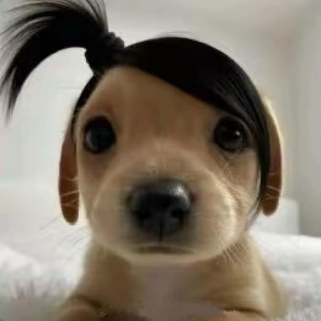 喜点点yu