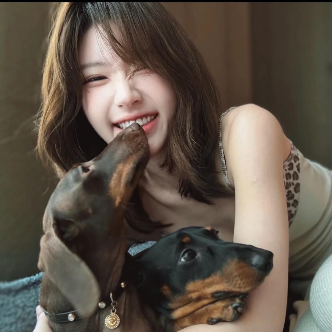 竹子