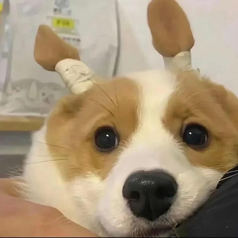 ⠀⠀ ⠀⠀ ⠀⠀ ⠀⠀ ⠀⠀ ⠀ ⠀⠀成