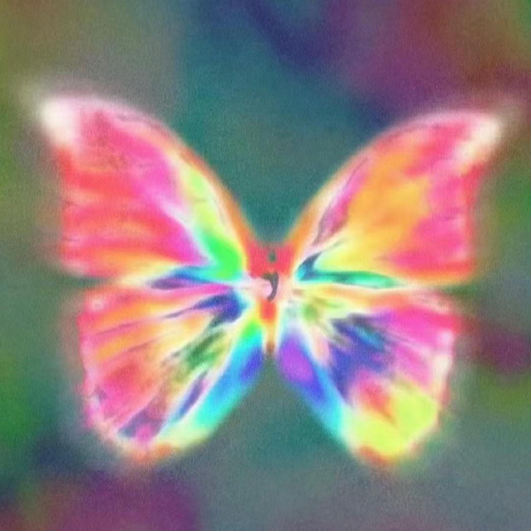 喝蛋白粉喝到最后发现蛋是贴上去的