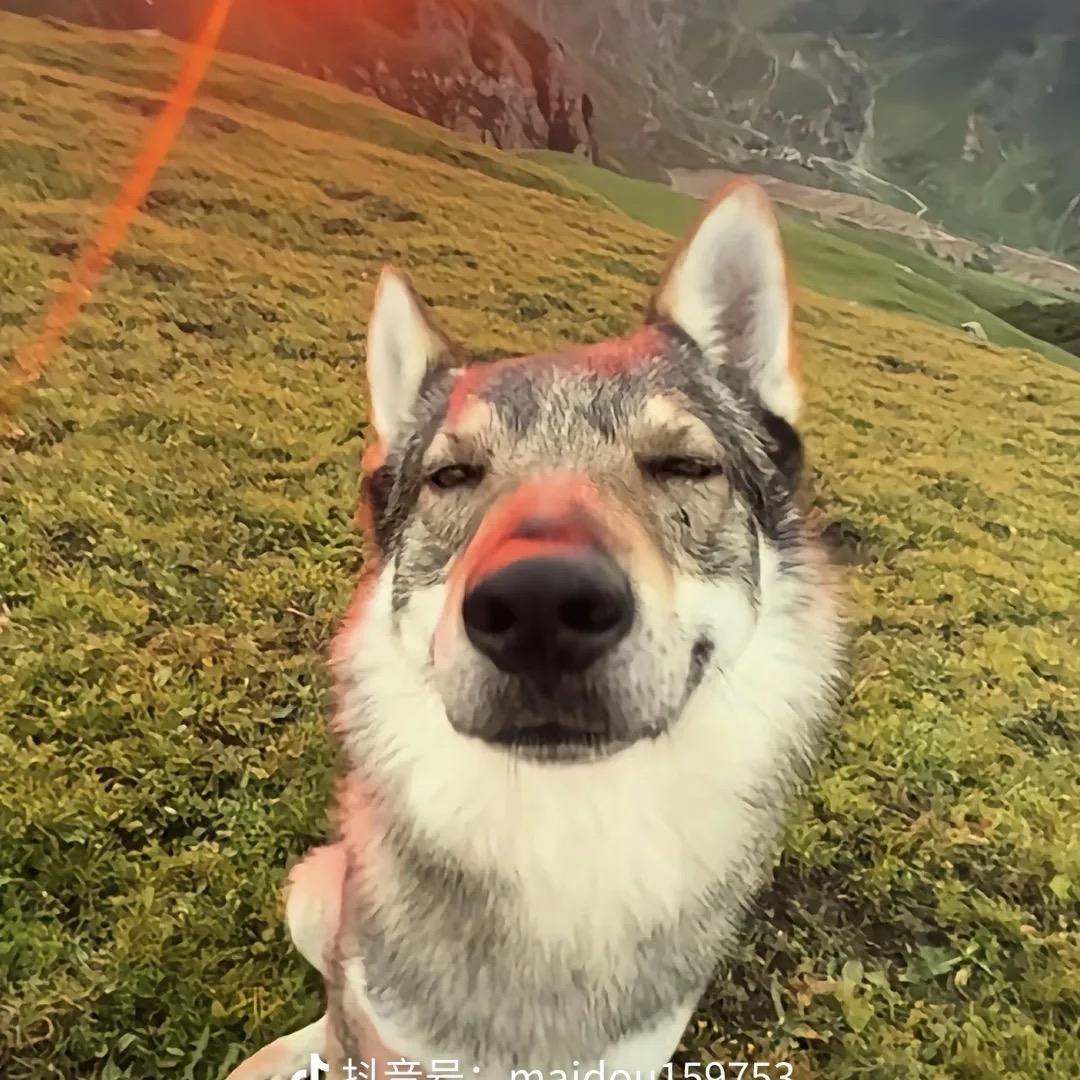 高富贵