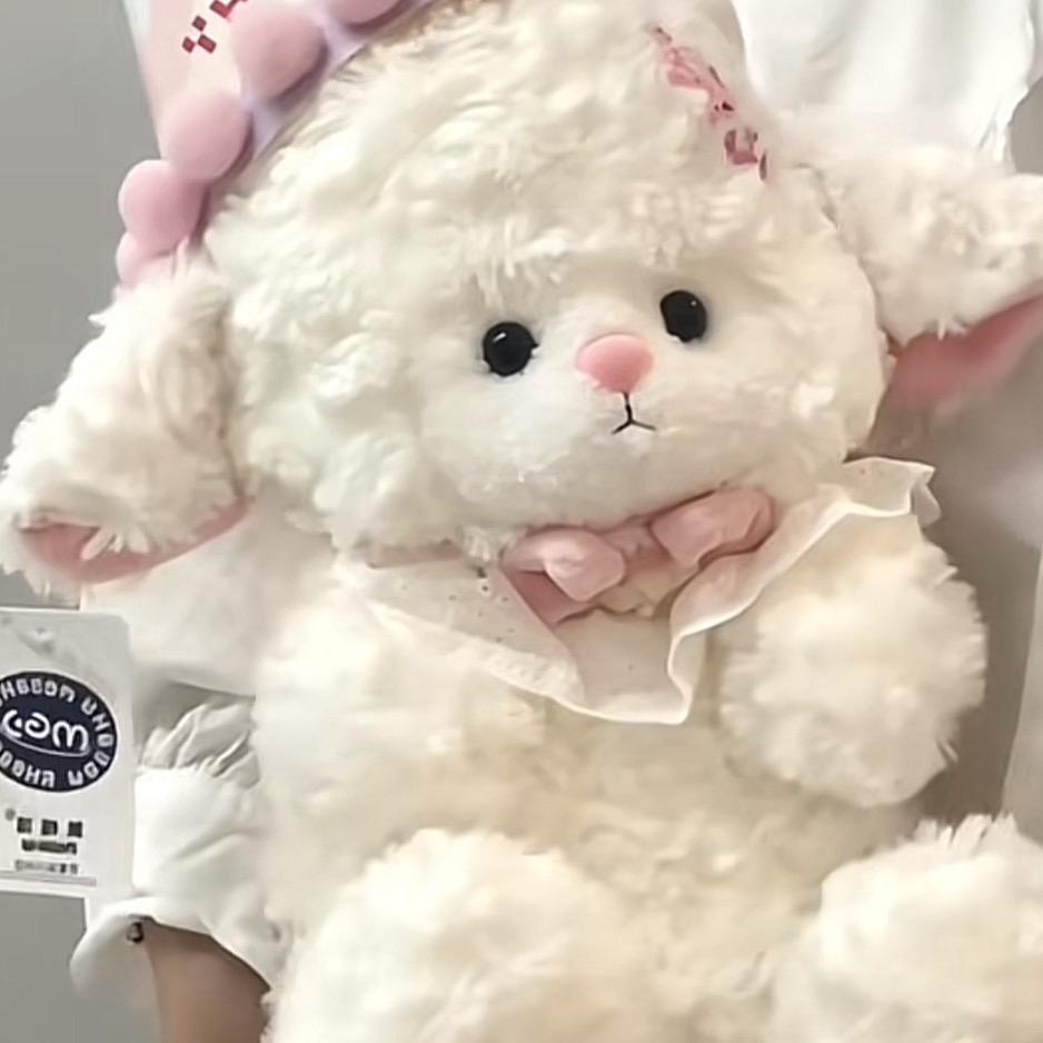 君君大大怪将军🐽