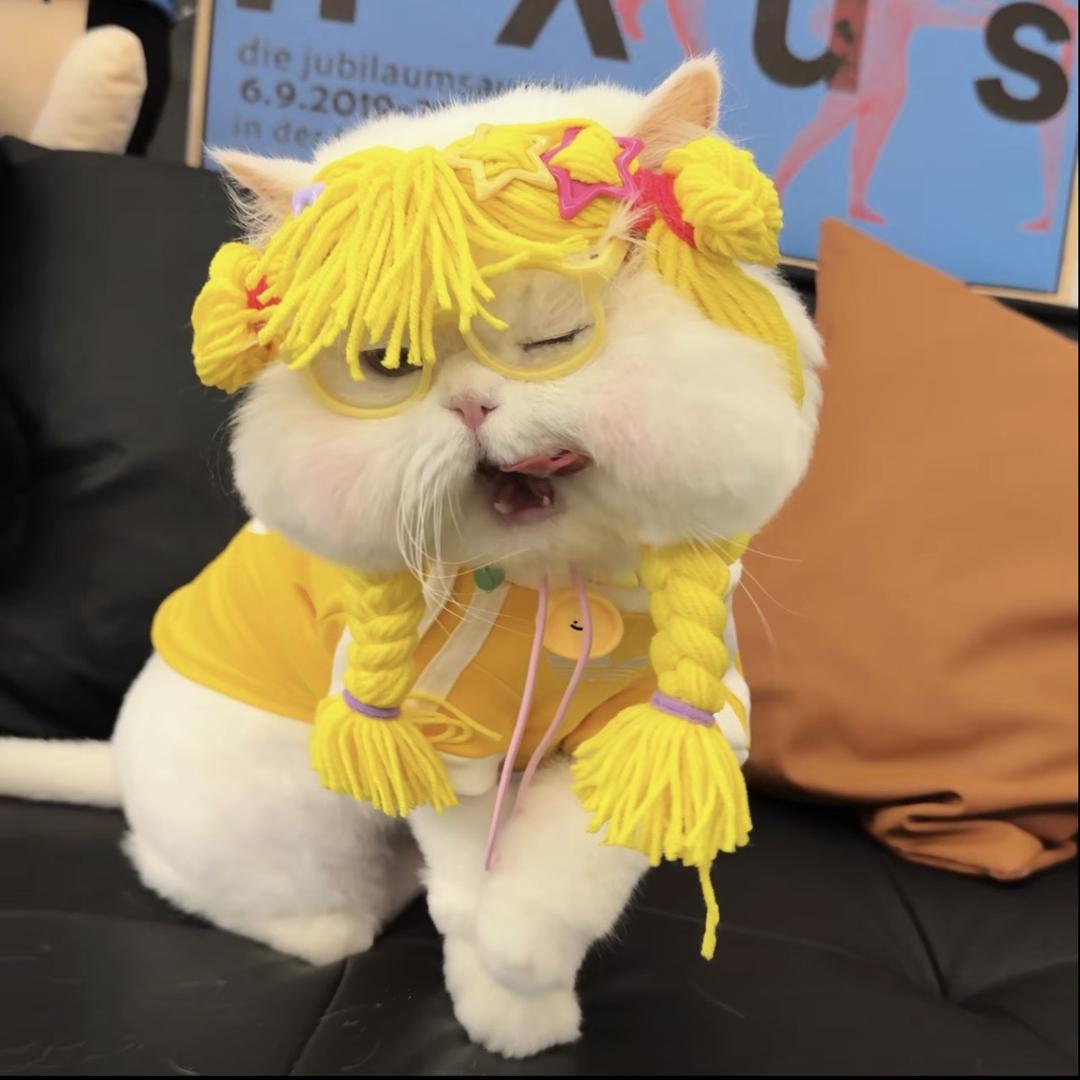 深情小美💗