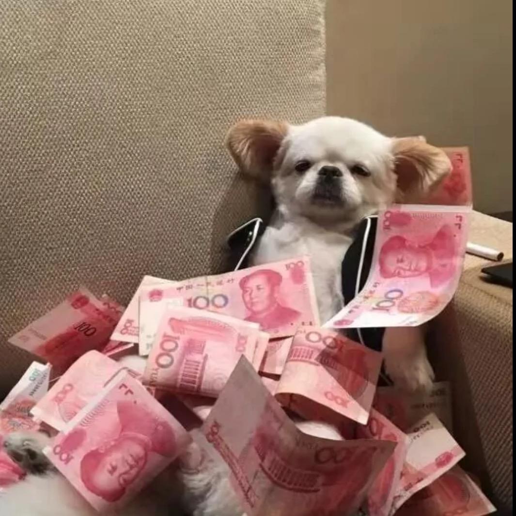 时豫晴