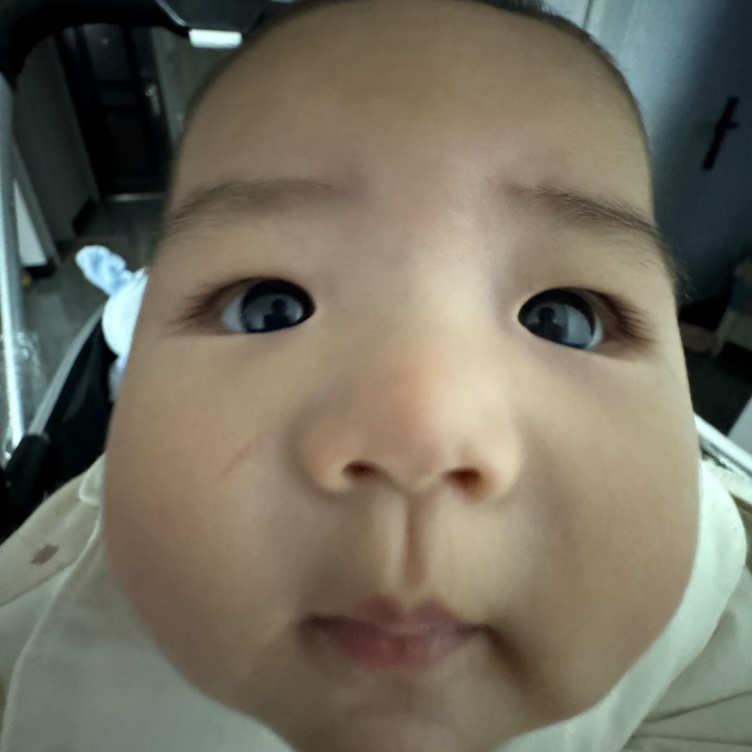 是团子•