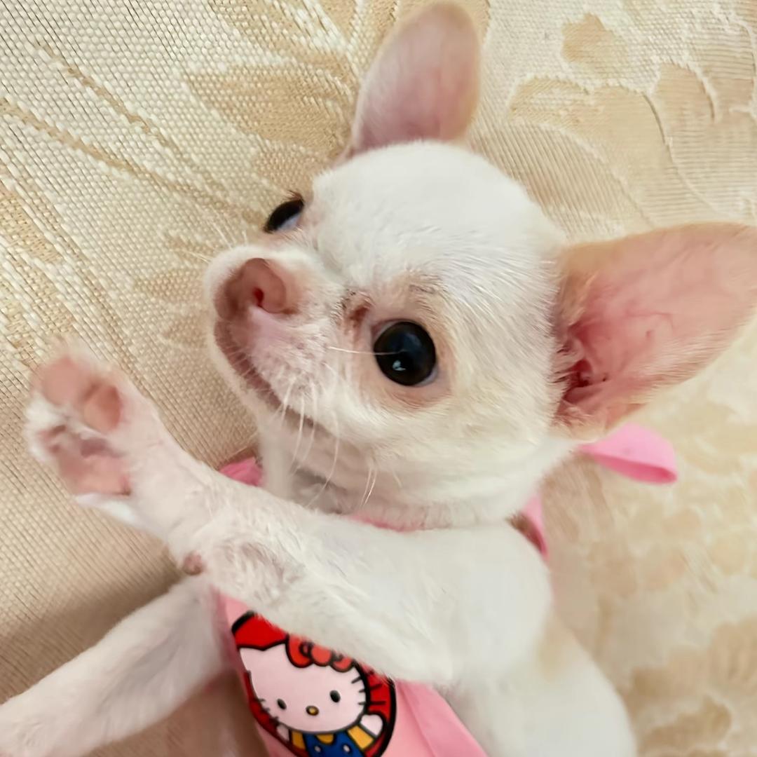 叙述