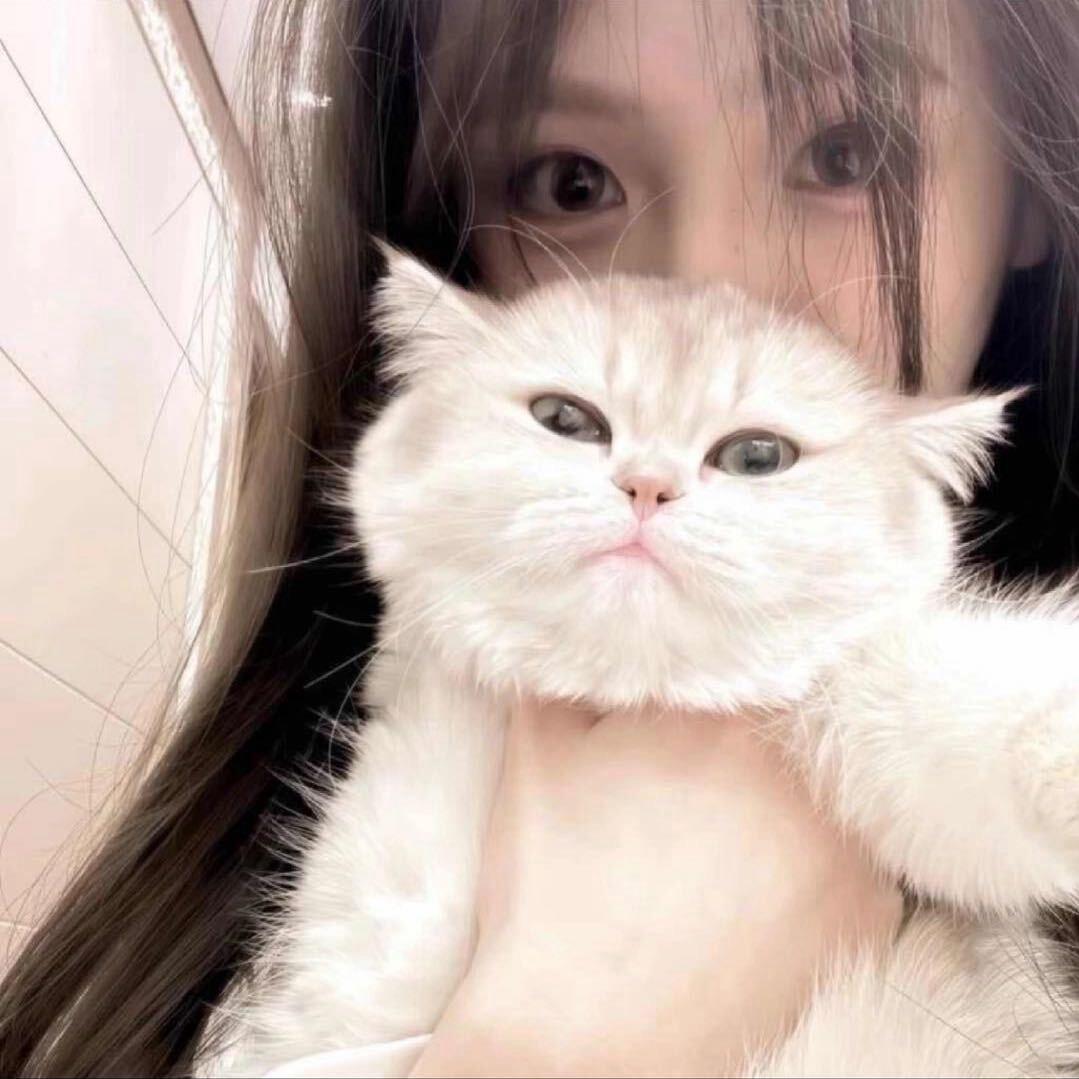 泡泡o0