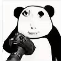 内向富士摄影师📷