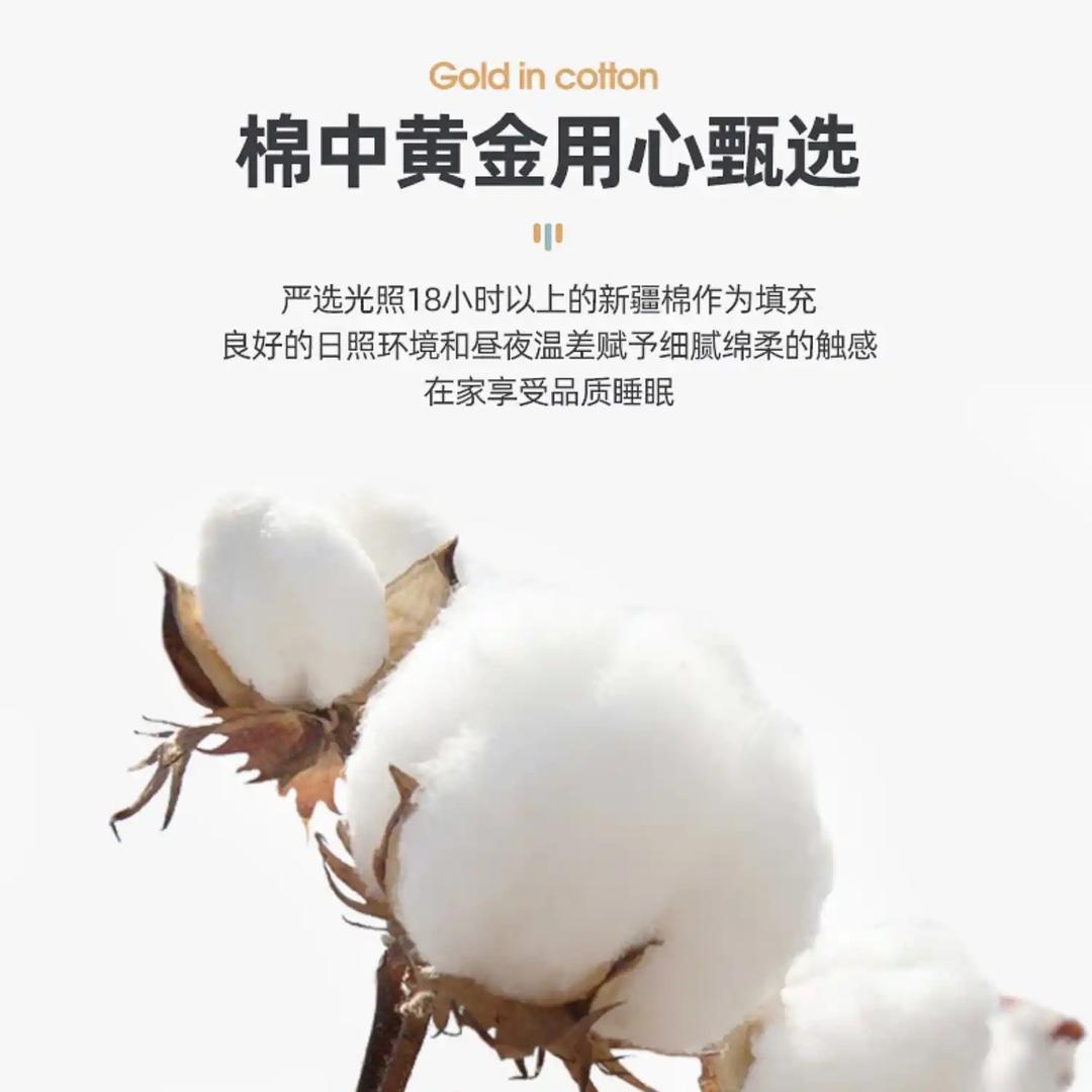 好袜甄选