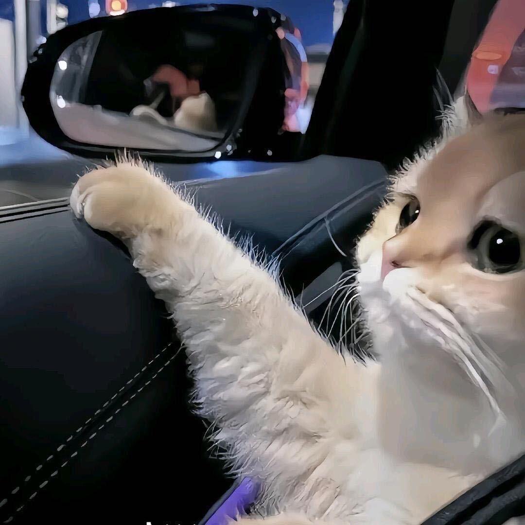 禄一十六跪下