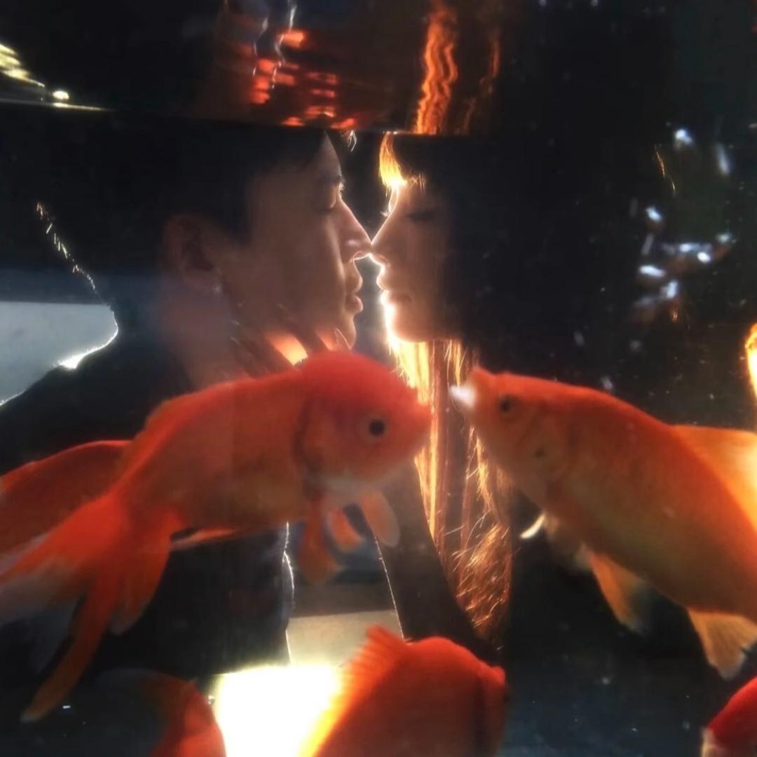 鸡骨架配鸭肠