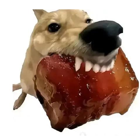 邪恶折耳根