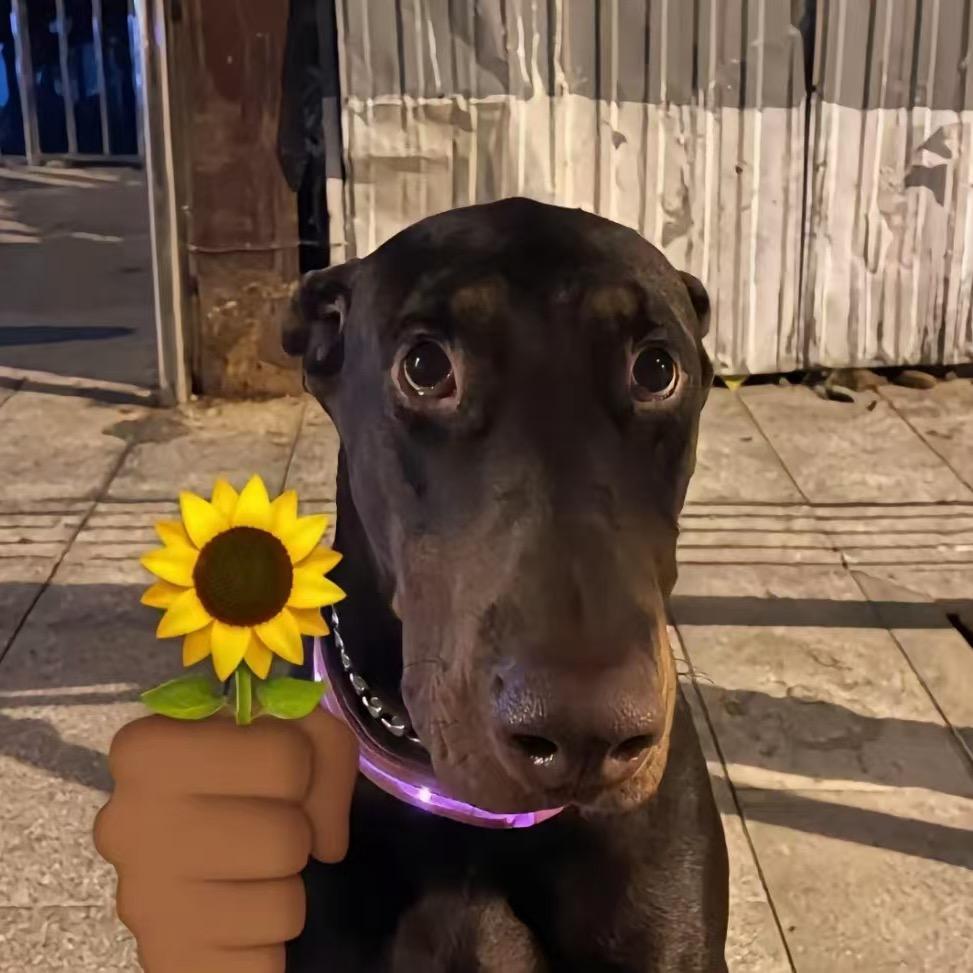 奥特曼爱吃旺仔小馒头