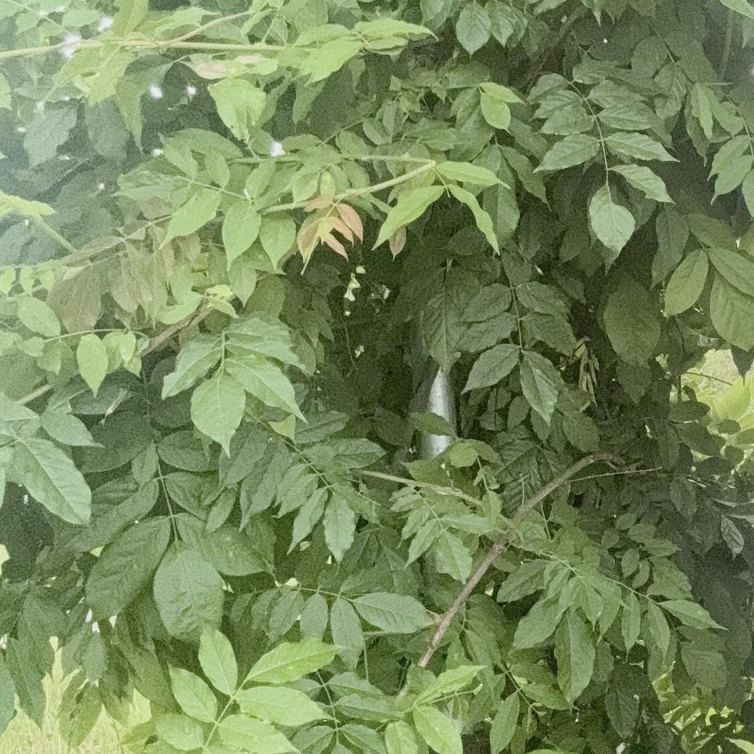 爱的力量