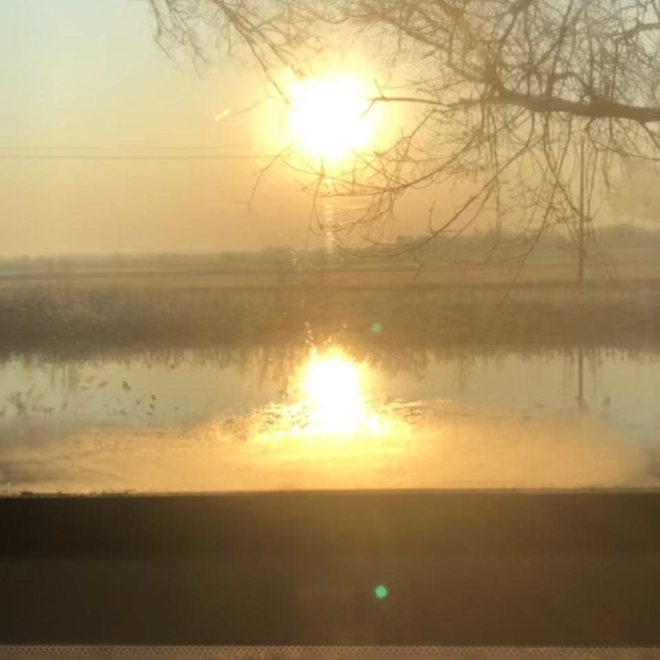 静默淡然，随遇而安