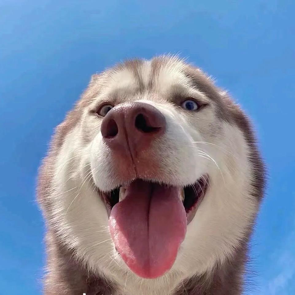 怪兽头头
