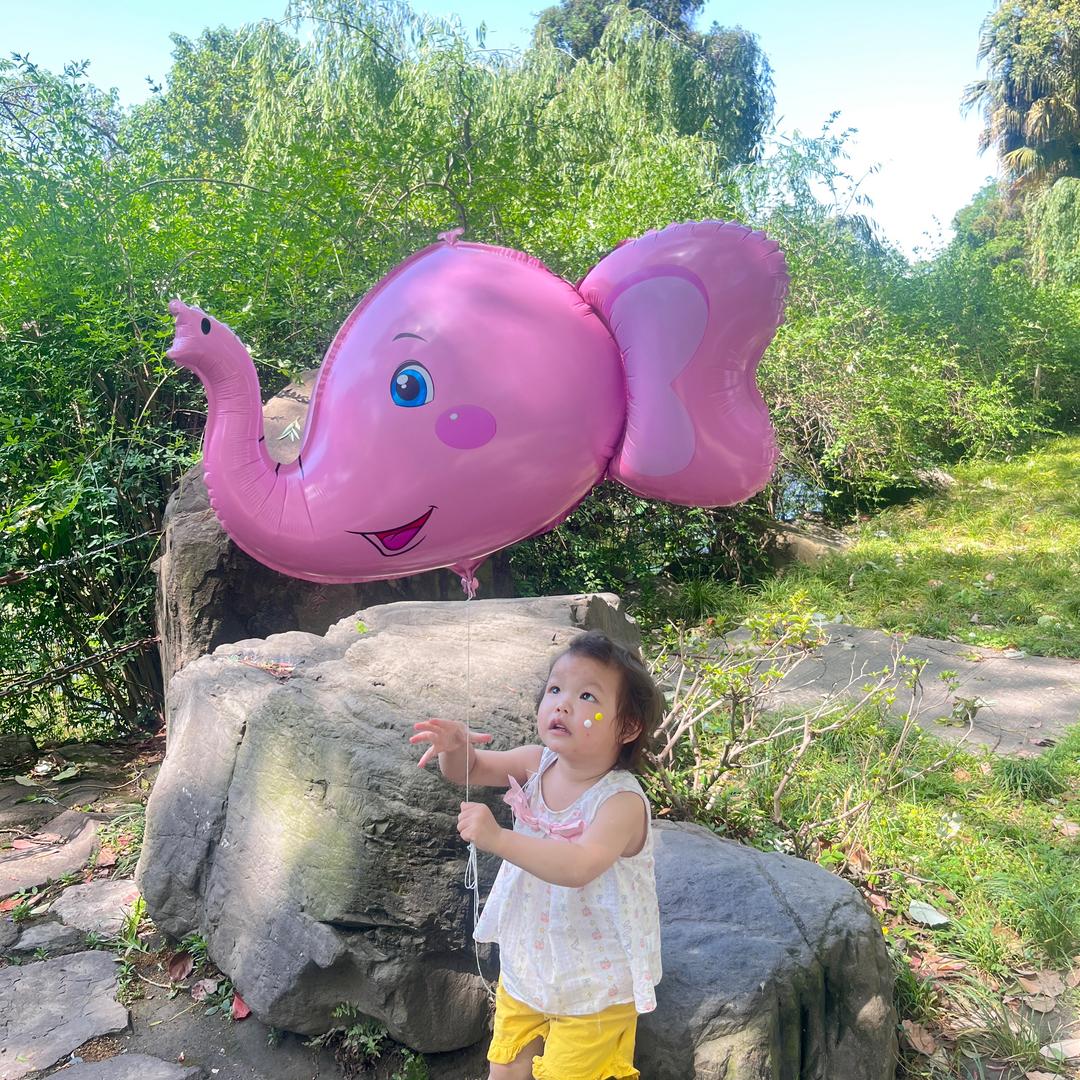 爱泡脚的小丸子