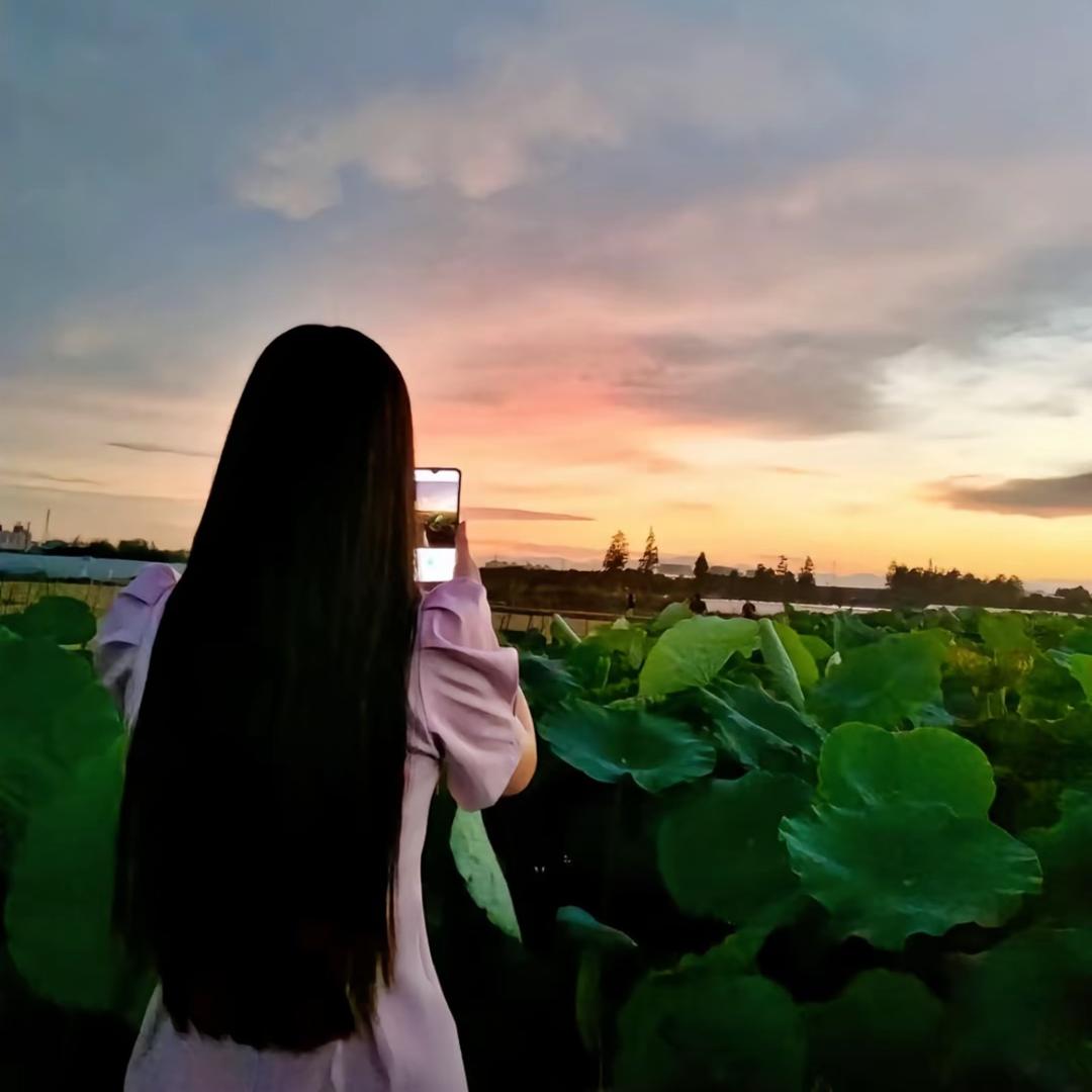 ༺࿅࿆࿄仙韵阁࿅࿆࿄༻