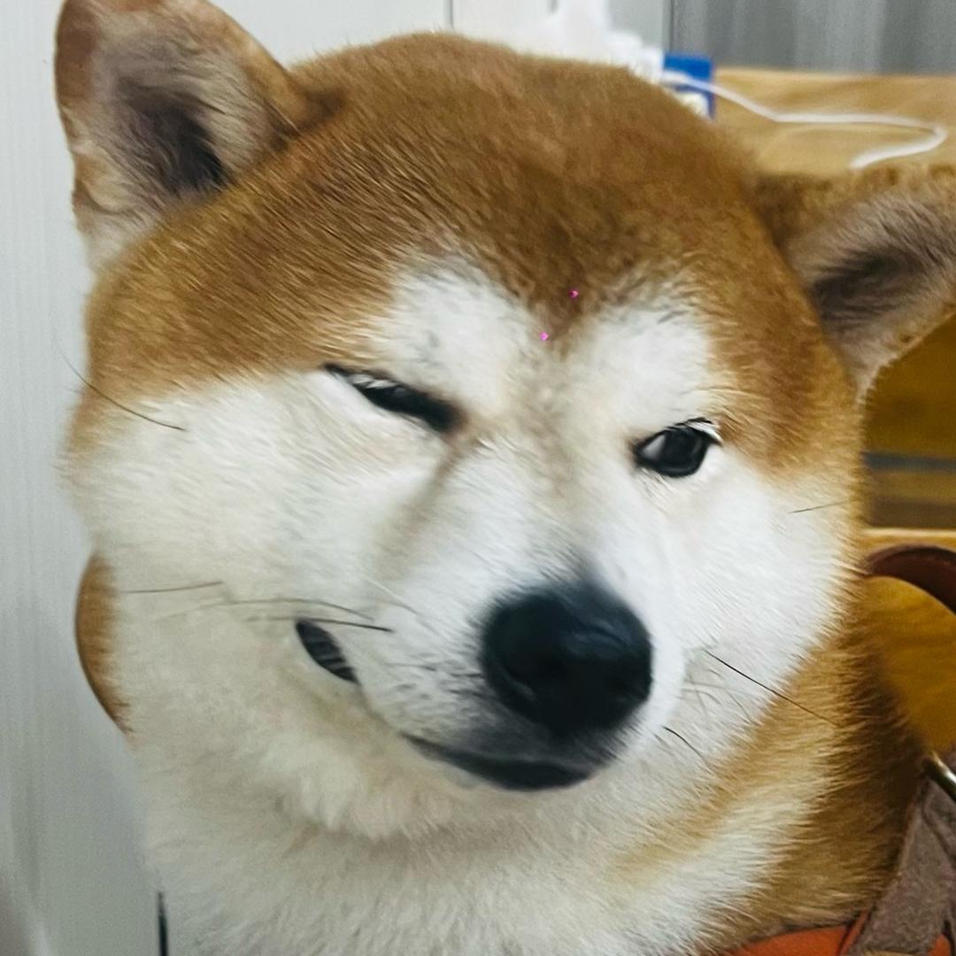 甜蜜老于