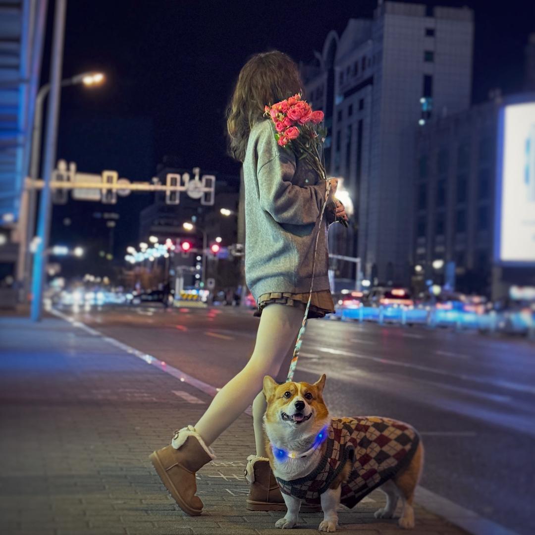 中年少女不想乖~