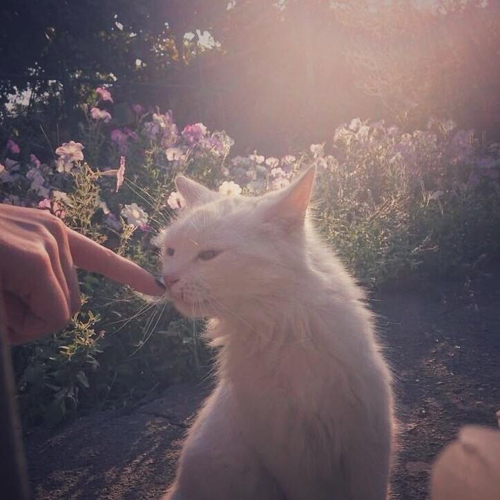 不要说话/
