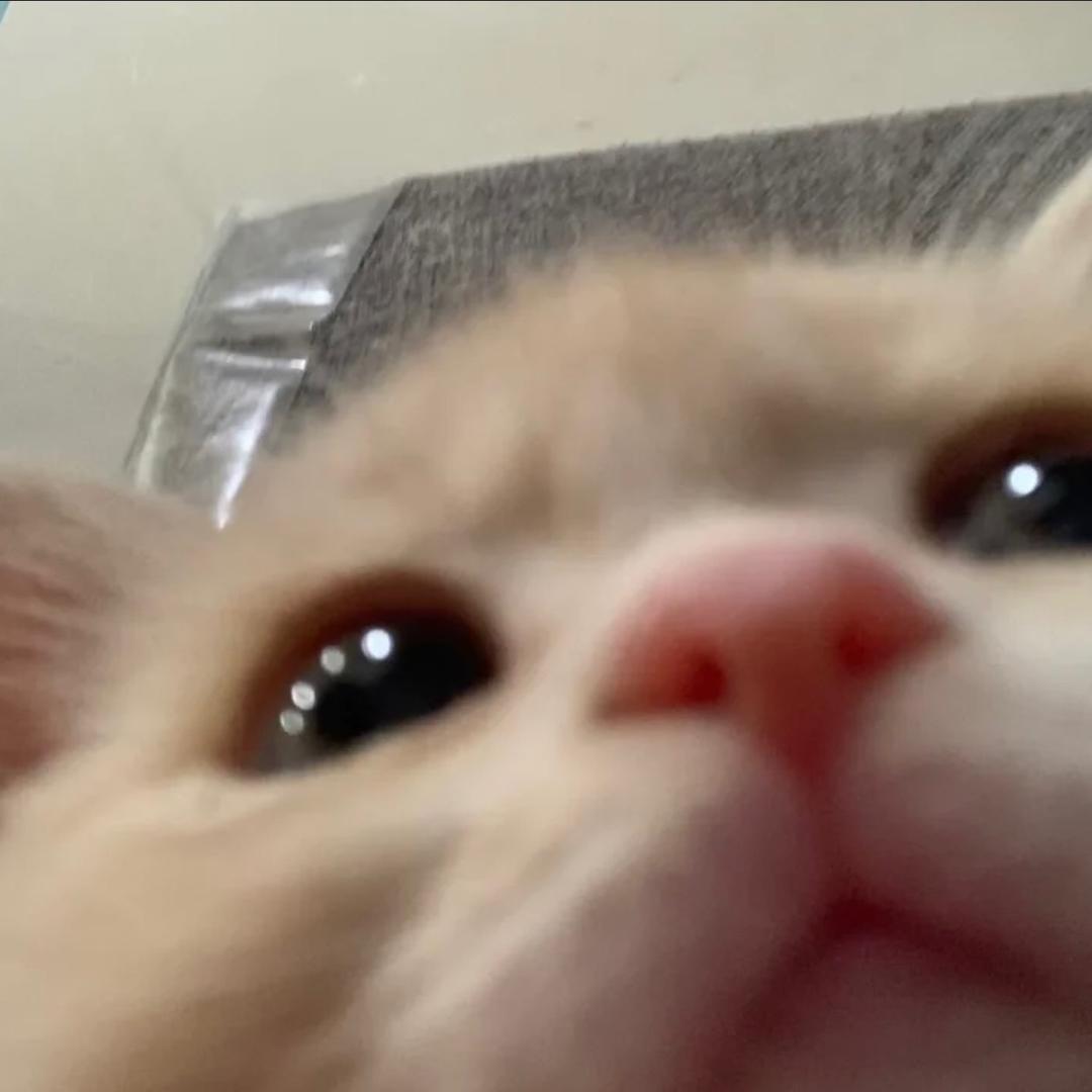 🧸ྀི