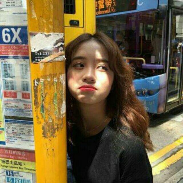 呆呆