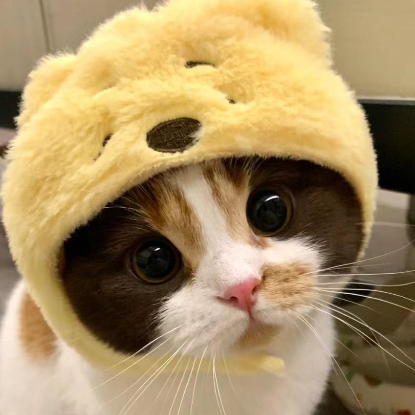 冒鱼刺儿
