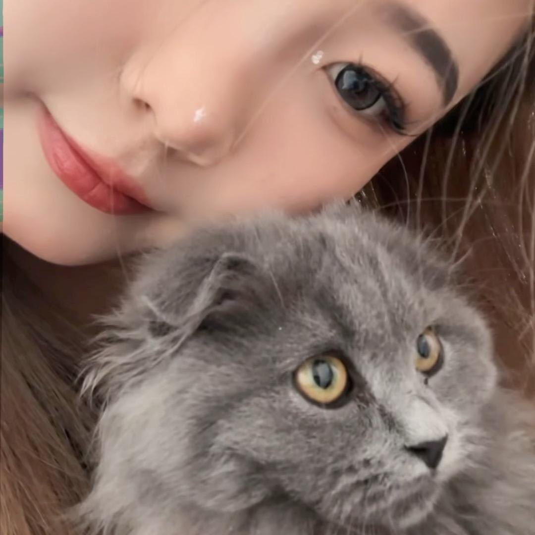李温柔.