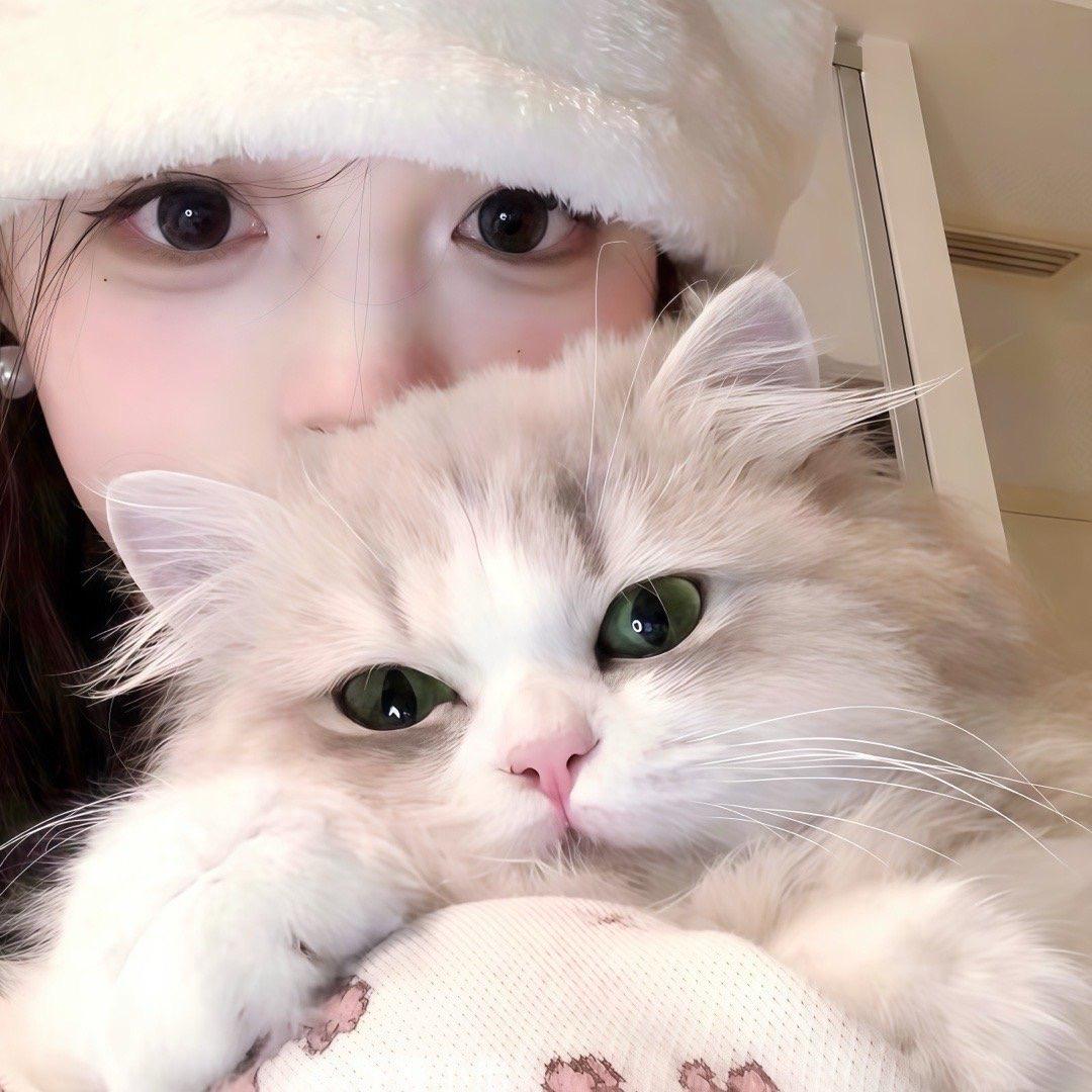 大喷菇