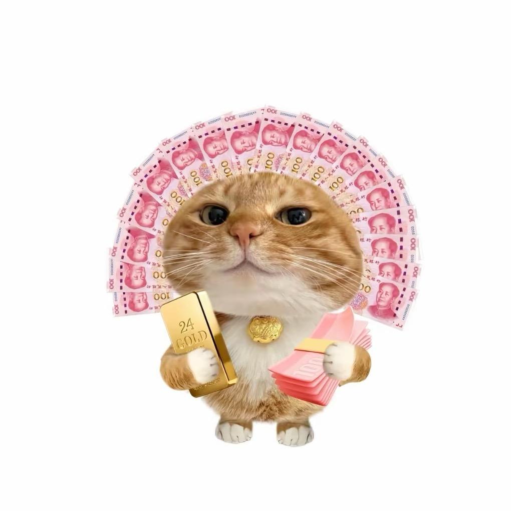 小猫咕噜咕噜𓆡𓂃𓊝𓄹𓂃𓇼