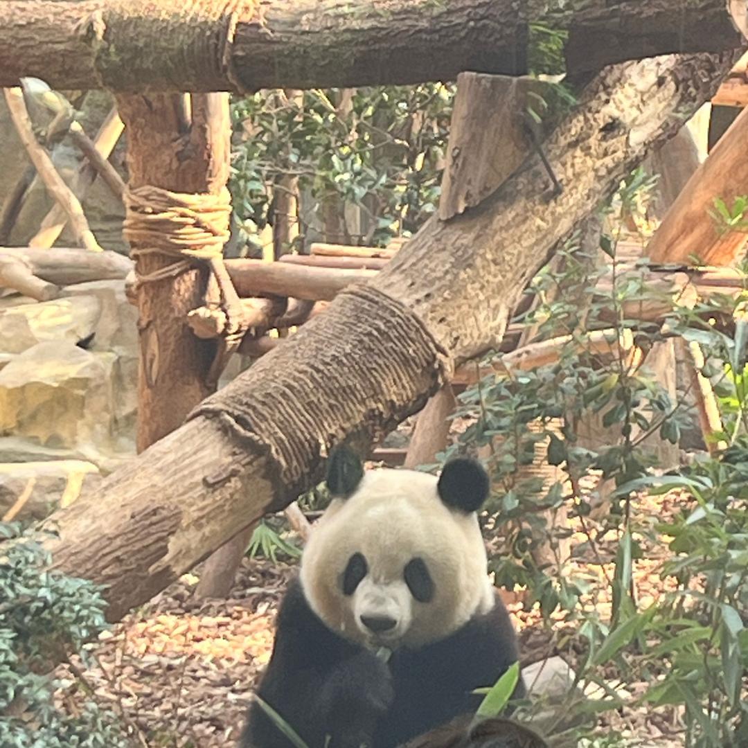自然若风