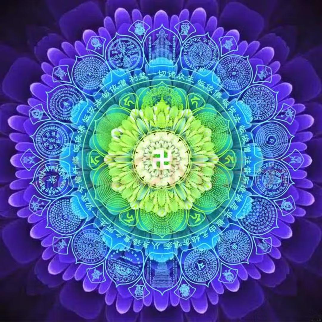 菩提空心
