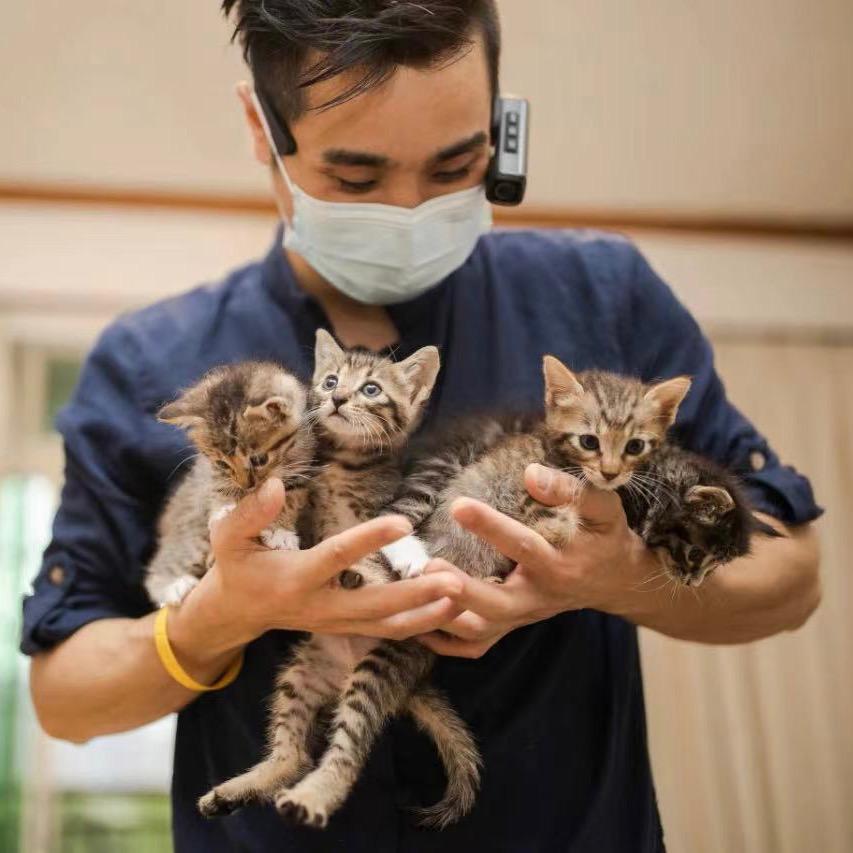动物帮阿杰