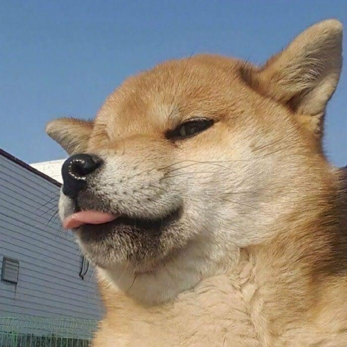 谁执我之敛我半世癫狂