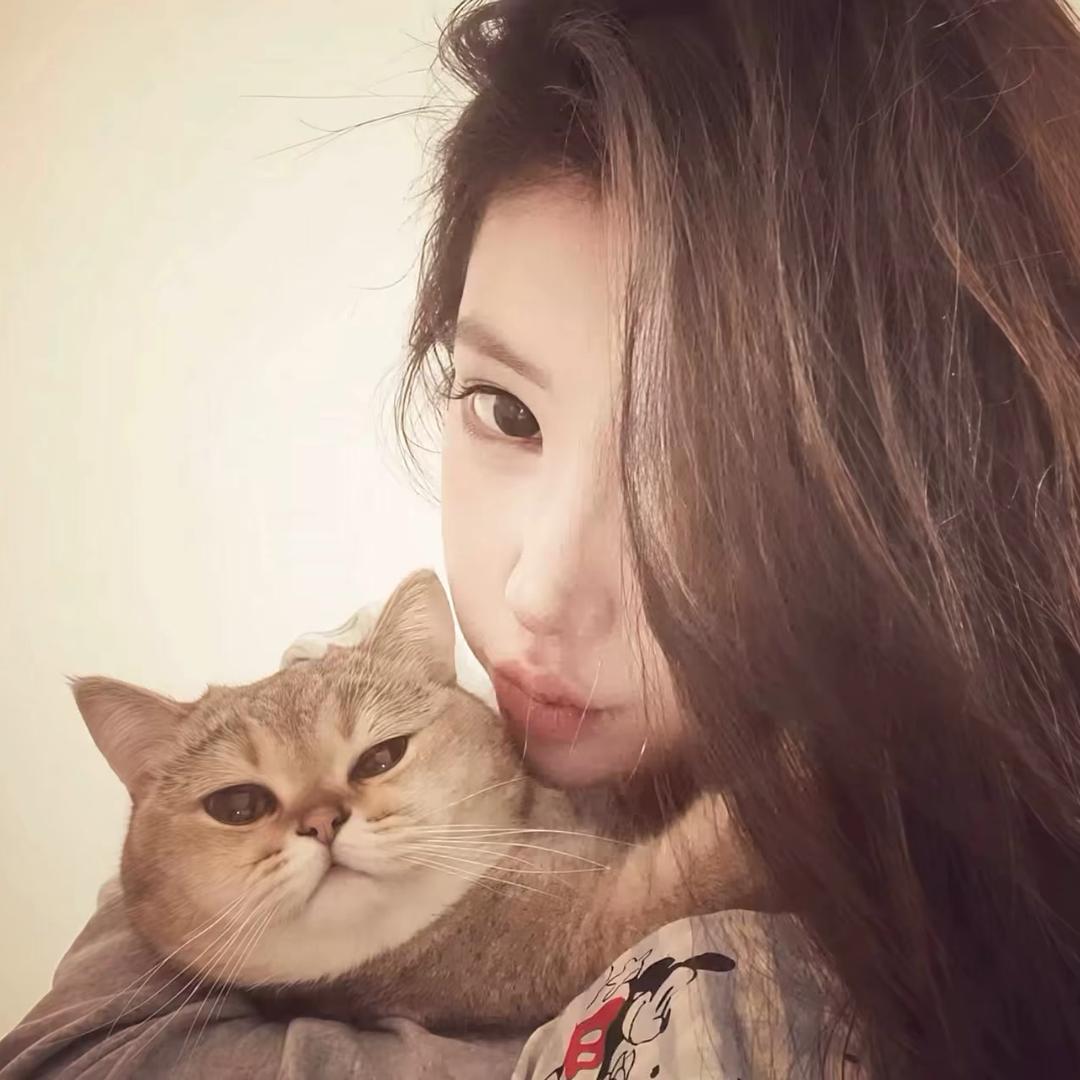 慧慧