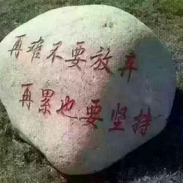 凌云小飞