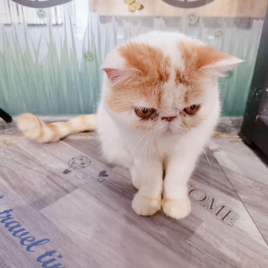 -黎明的那个冬.ꀕ