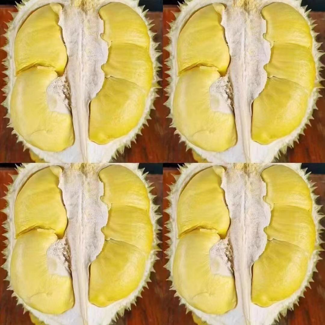 大壮。