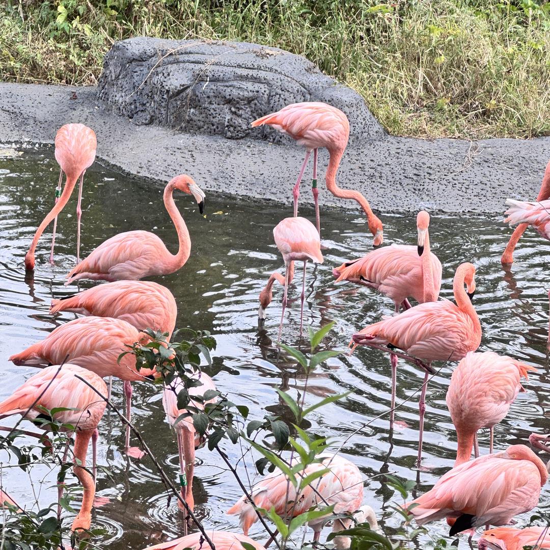 浩然登庐日用优品小铺