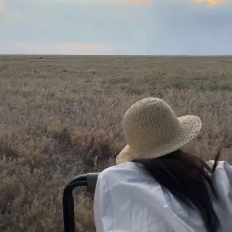 名贵药材种植户